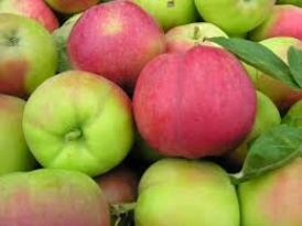 100 tys. t polskich jabłek pojedzie do Wietnamu
